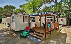 Albatross Mobile Homes On Camping Waikiki